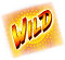 wild